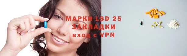 ECSTASY Вяземский