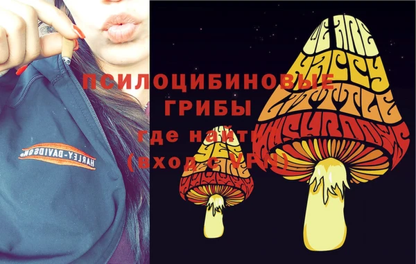 прущий лед Вязники