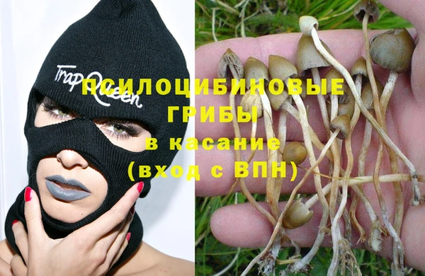 ECSTASY Вяземский