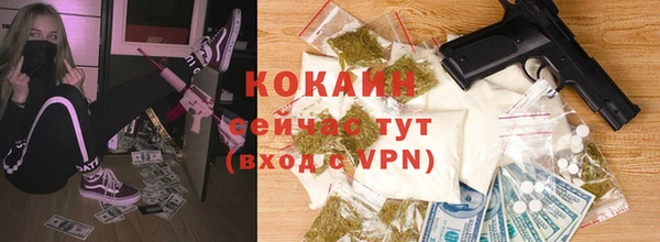 ECSTASY Вяземский